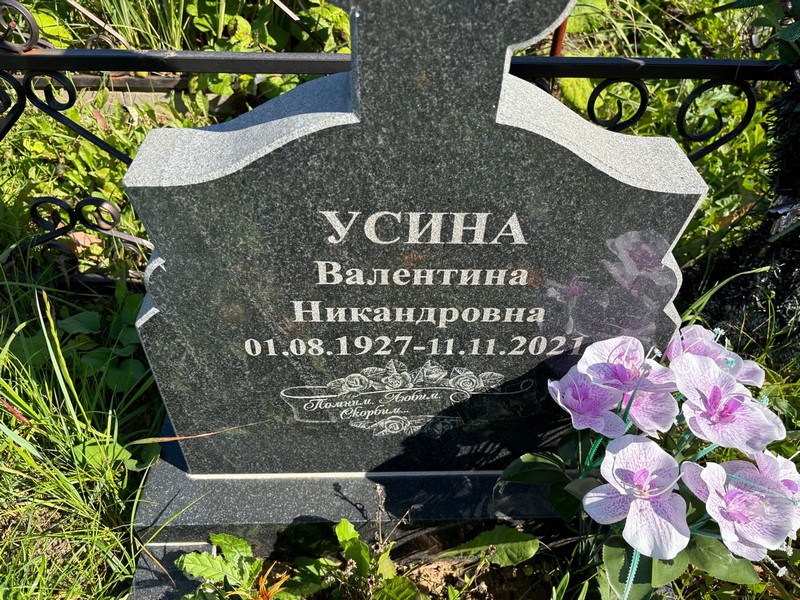 Усина