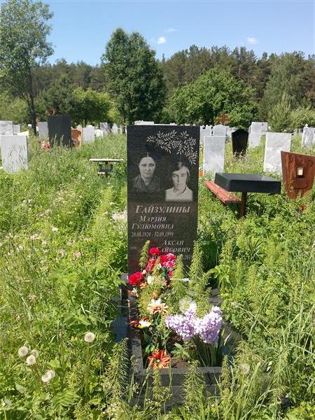 Гайзулин Аксан Гайсович