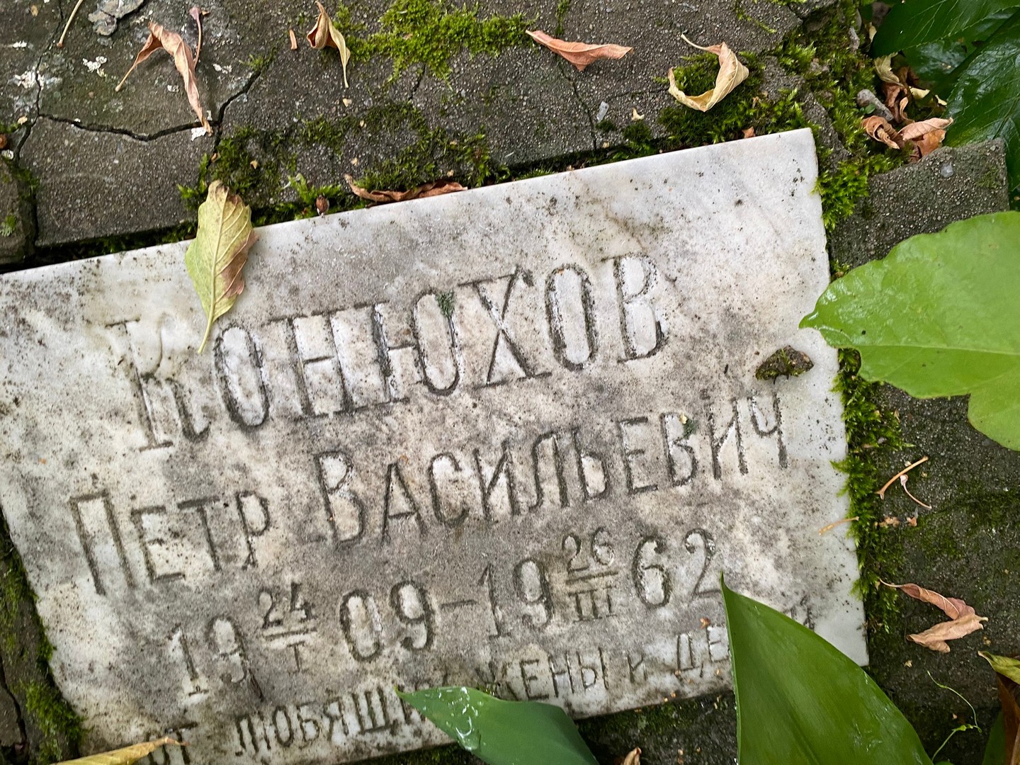 Конюхов