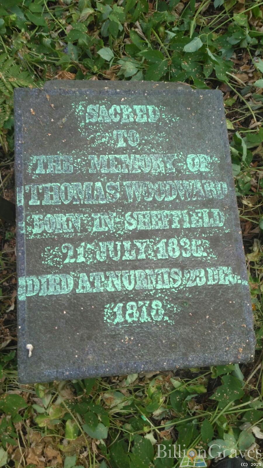 Woodward Thomas