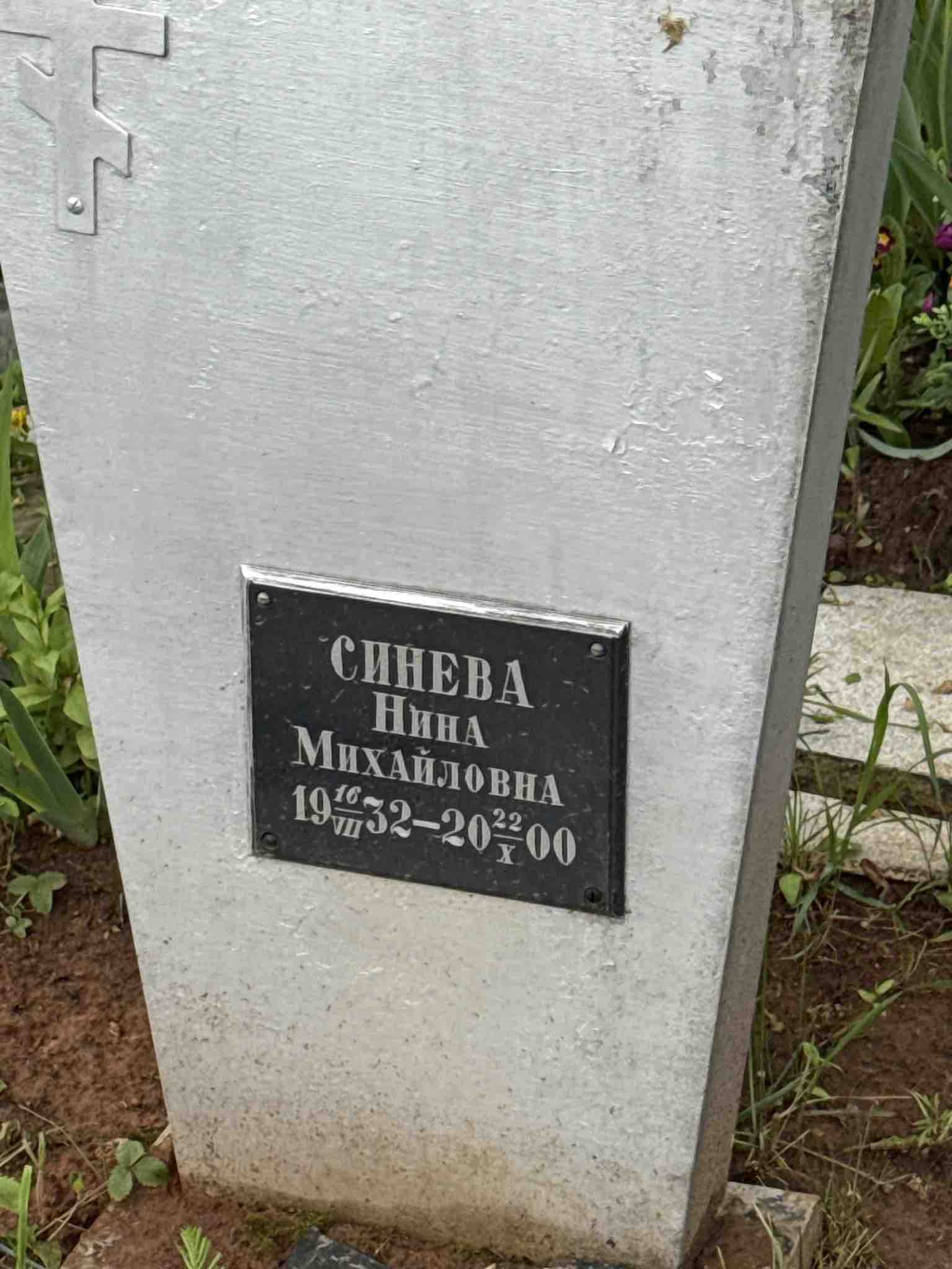 Синева Нина Михайловна