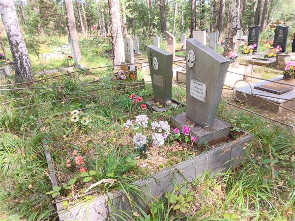 Тимченко Елизавета