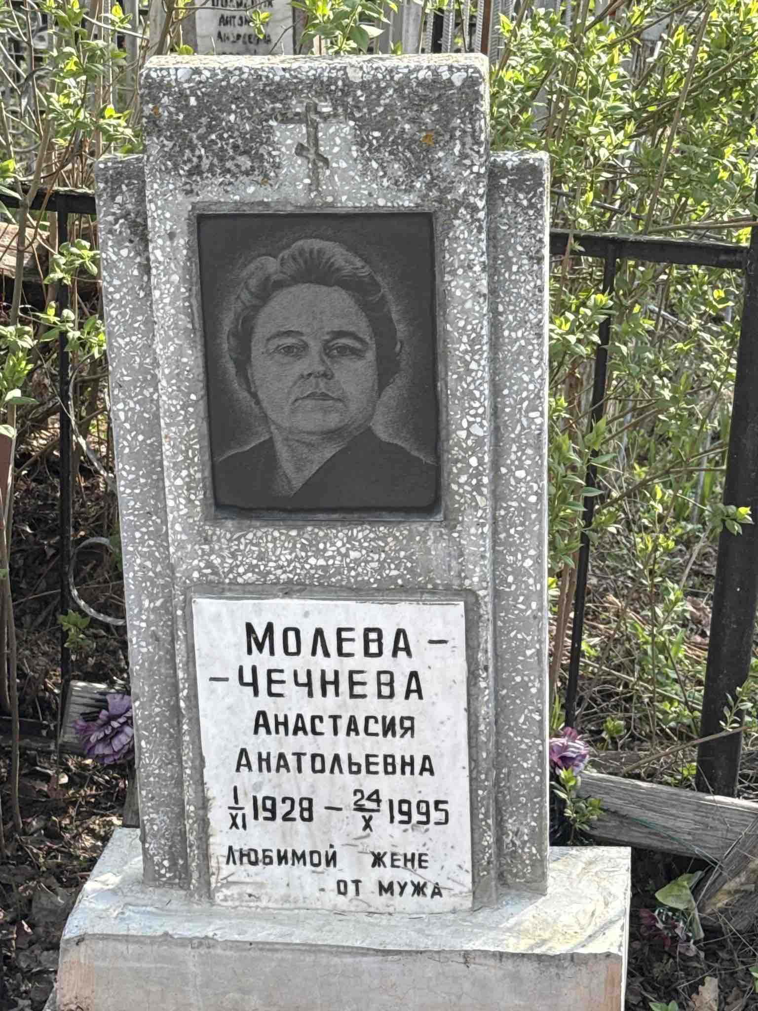 Молева-Чечнева Анастасия Анатольевна
