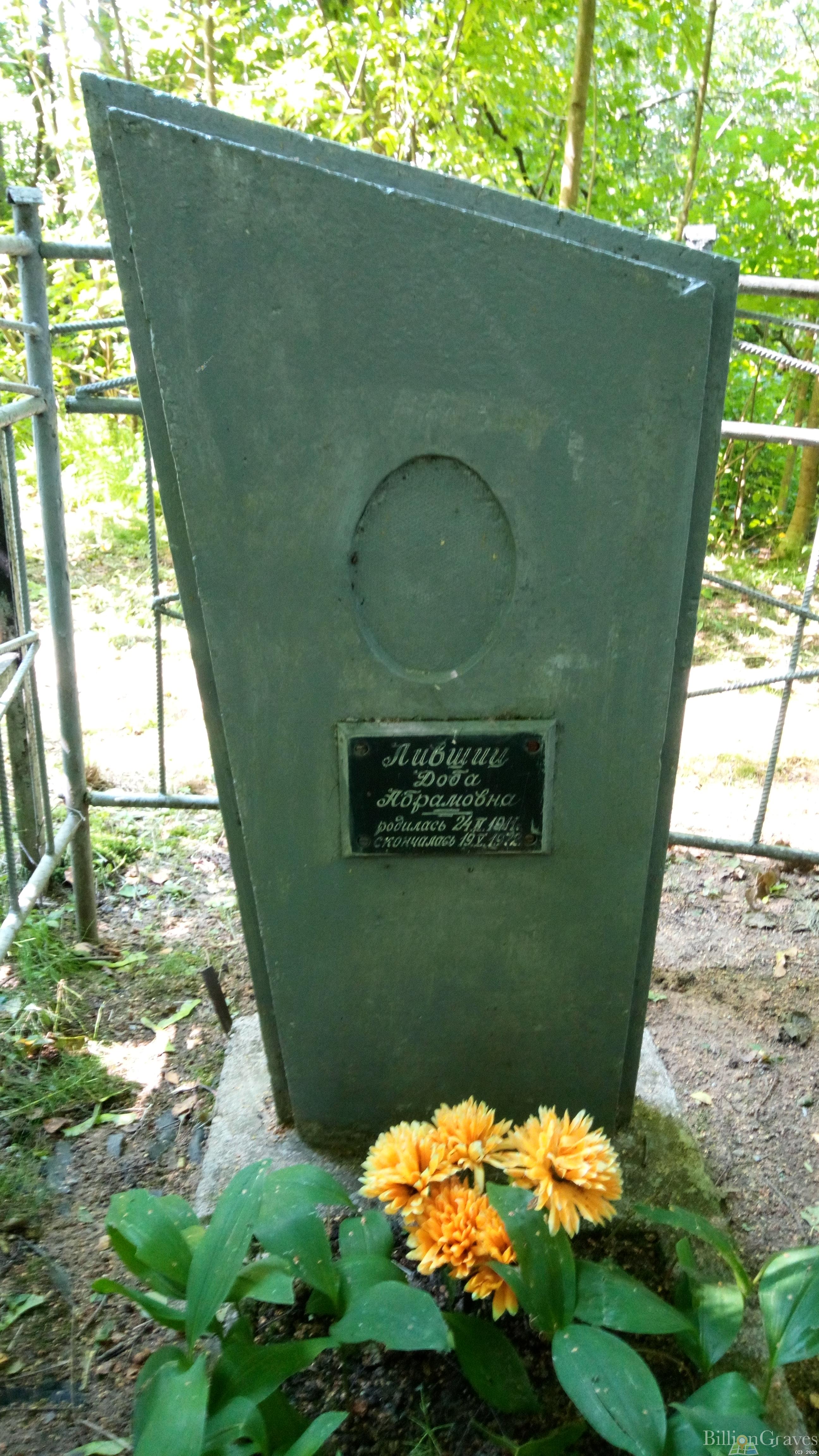 Лившиц Доба Абрамовна