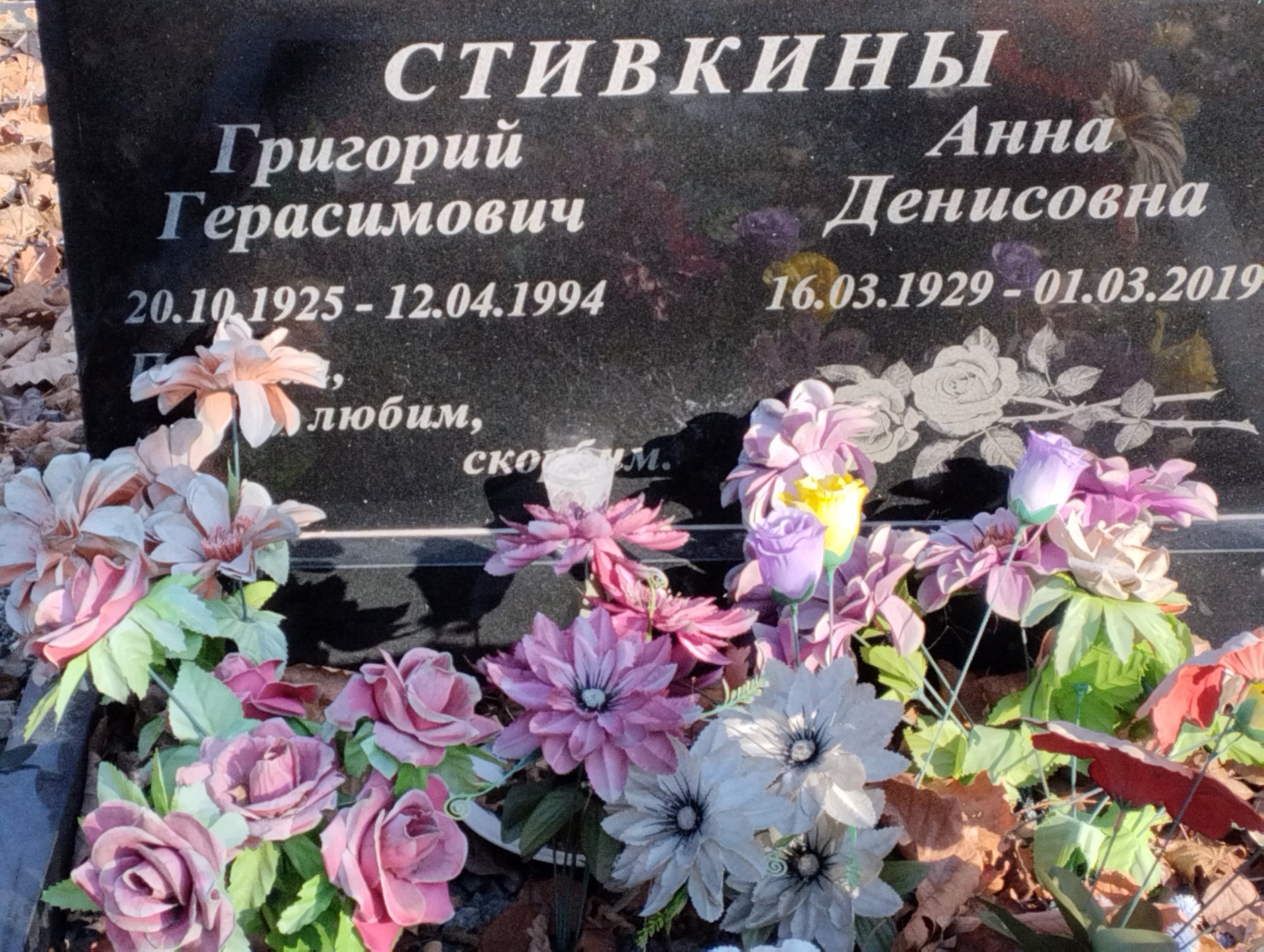 Стивкина Анна Денисовна