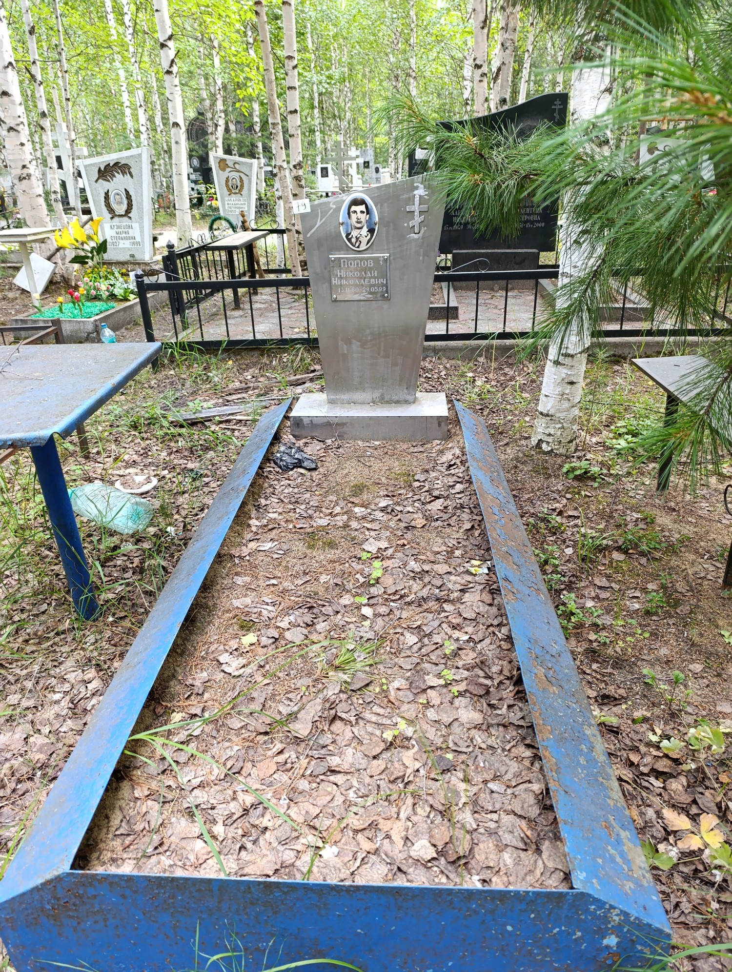 Попов Николай Николаевич