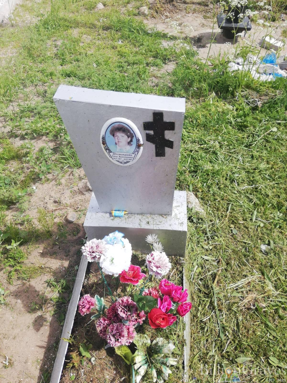Шестопалова Елена Валентиновна