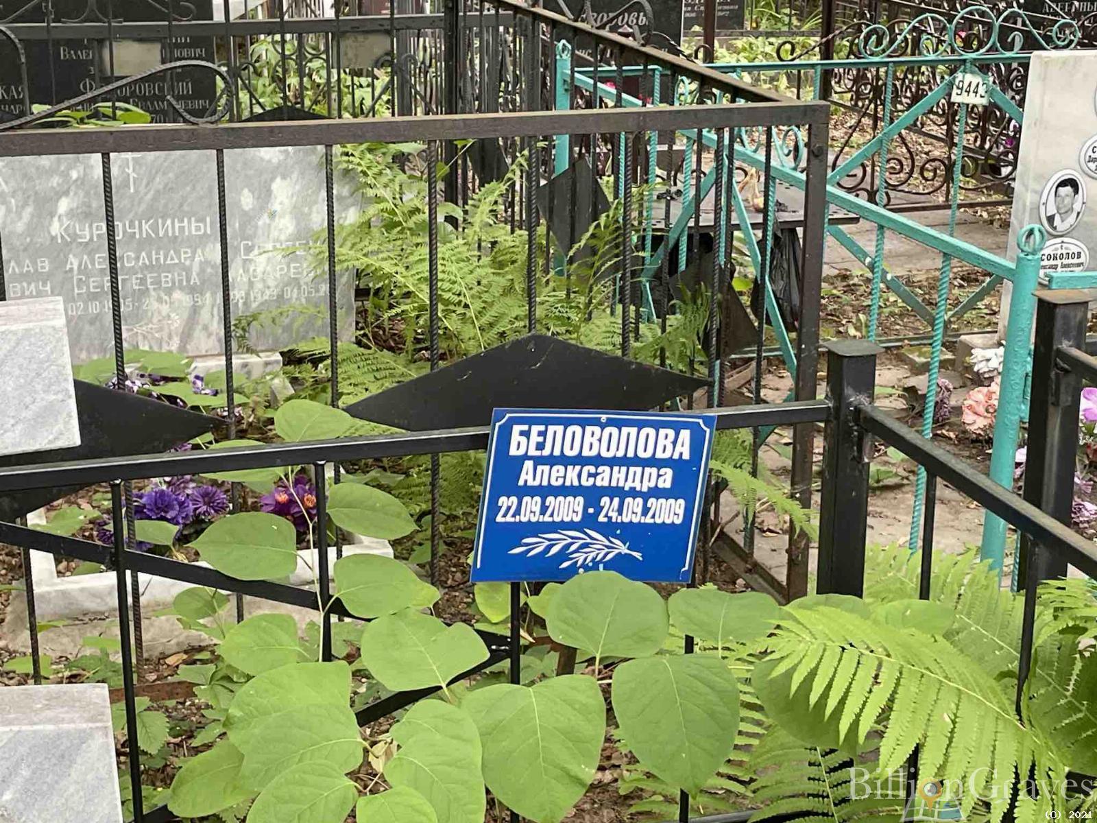 Беловолова Александра