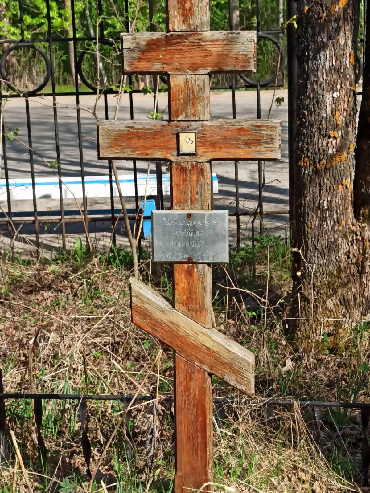 Холоднова Антонина Филипповна
