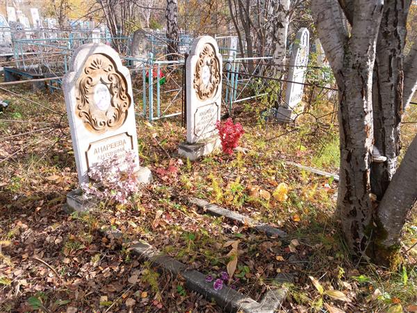 Андреев Андрей Федосеевич
