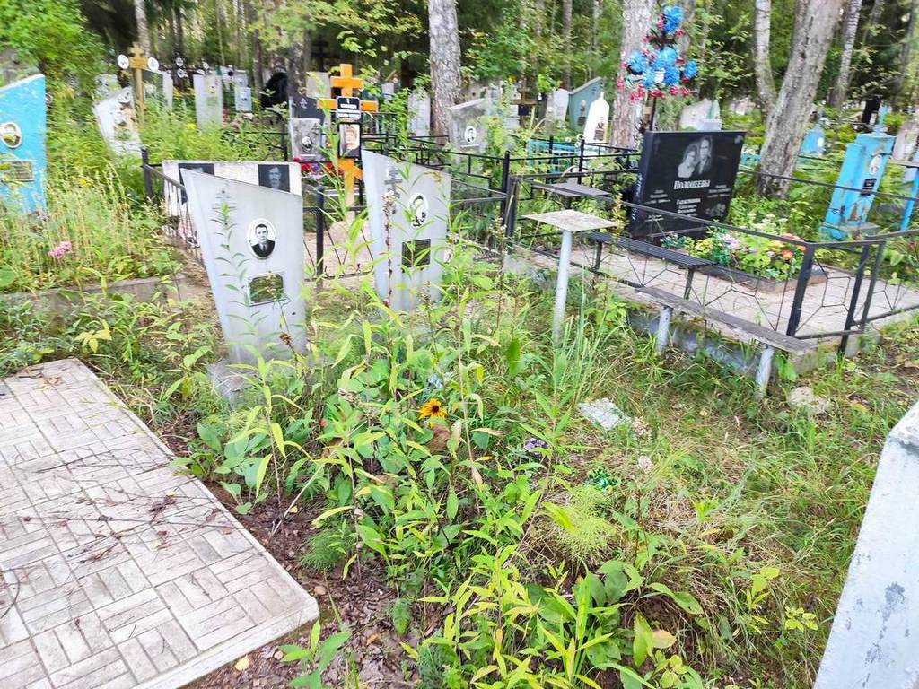 Добрынина Александра Васильевна