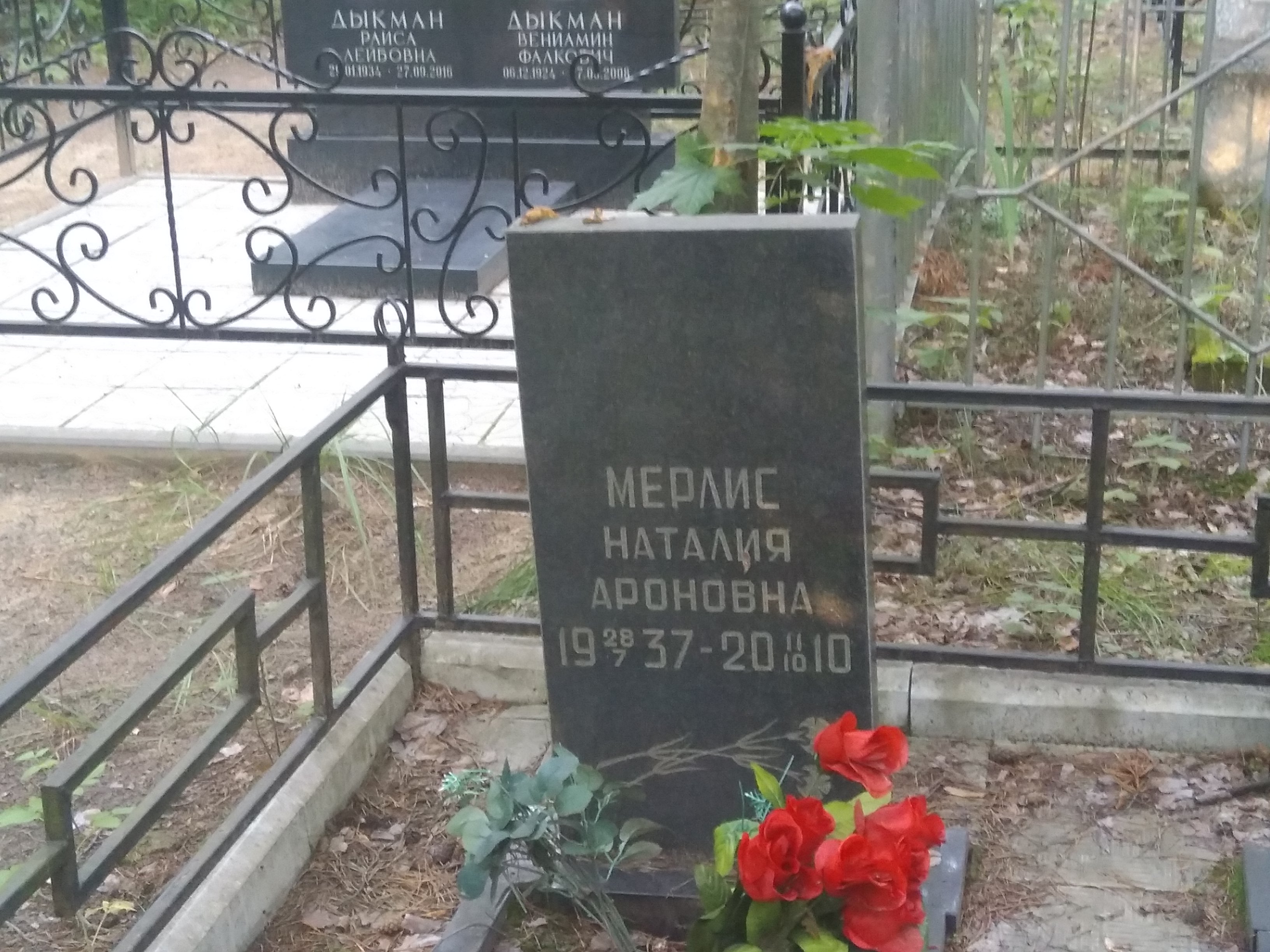 Мерлис Наталия Ароновна