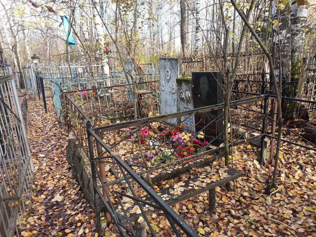 Бакумов Дмитрий Александрович