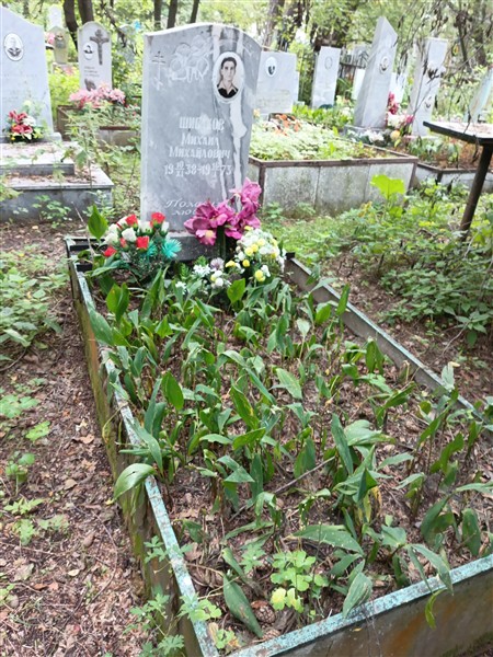 Шибаков Михаил Михайлович
