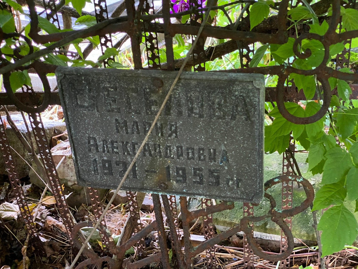 Веселова