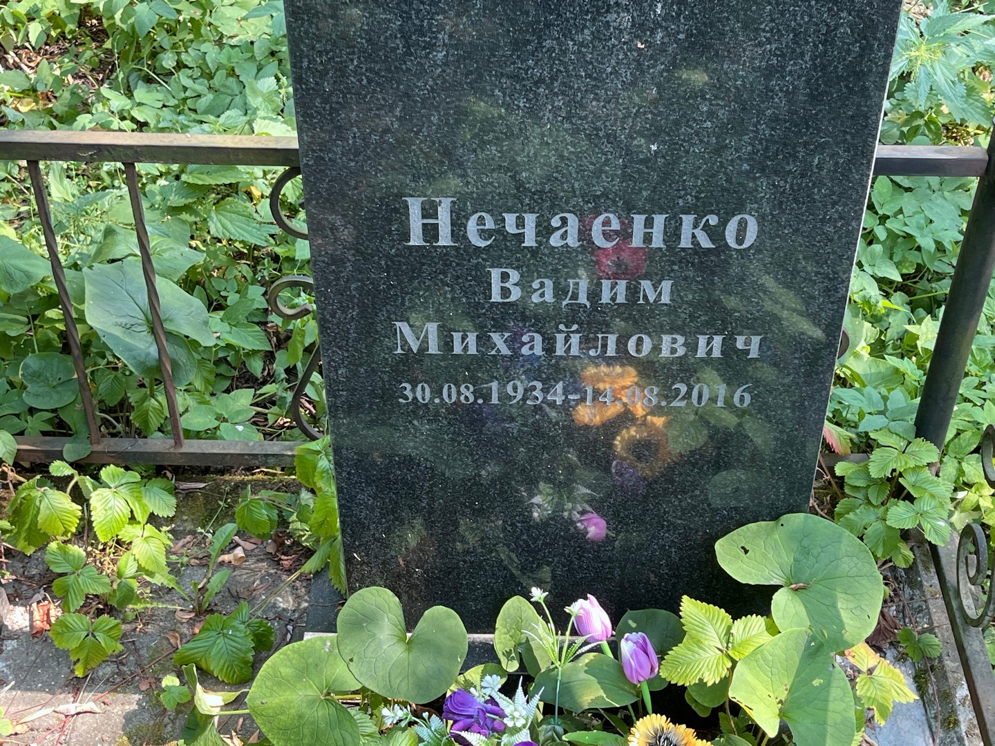 Нечаенко