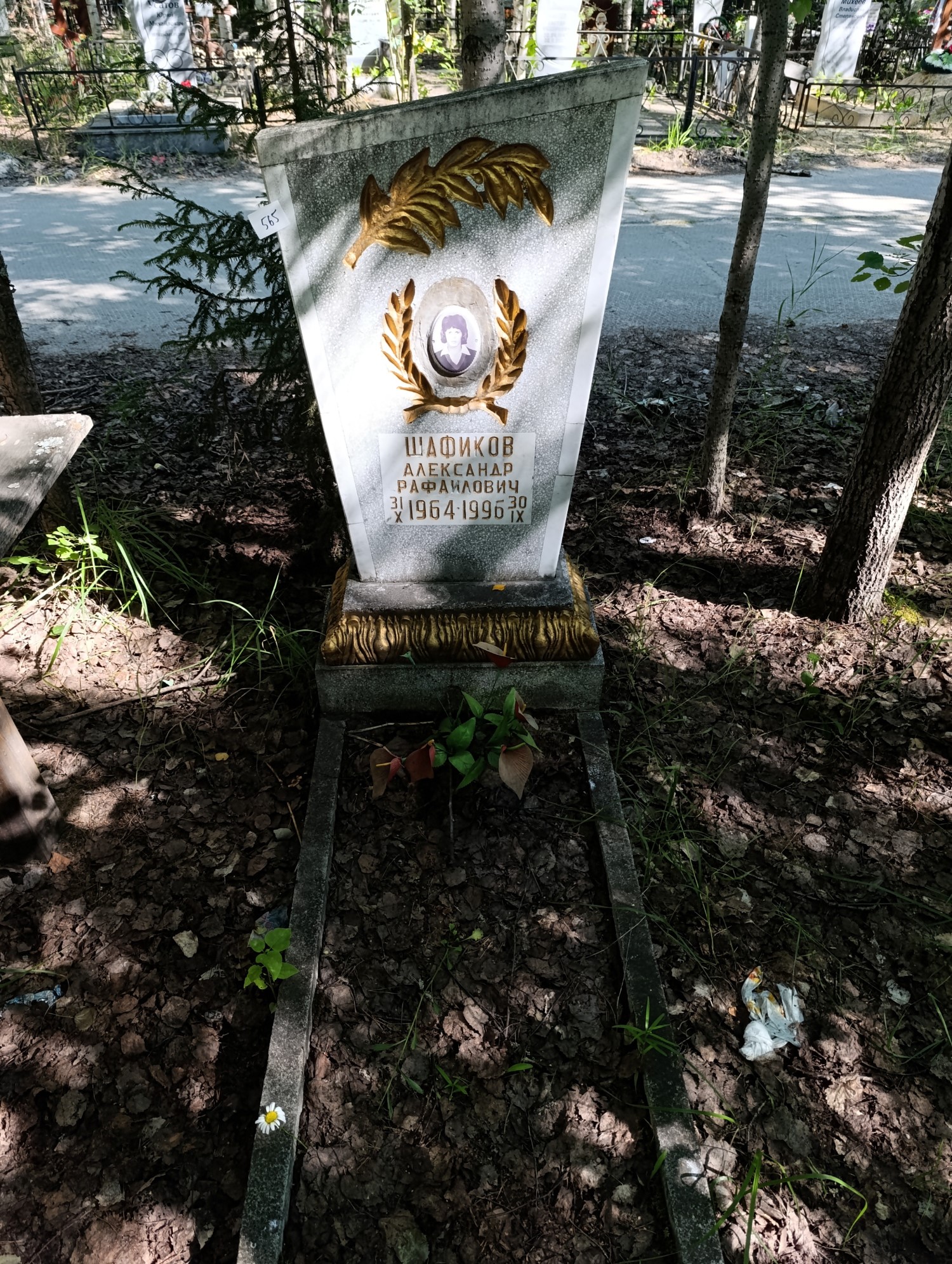 Шафиков Александр Рафаилович