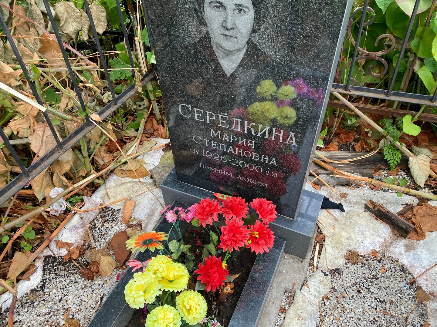 Середкина