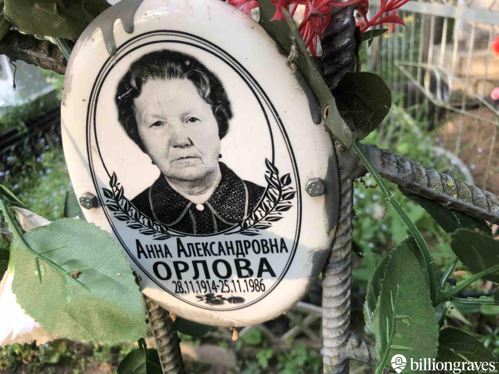 Орлова Анна Александровна