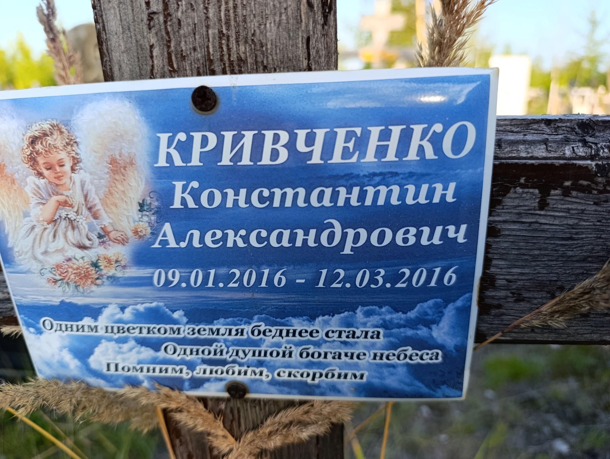 Кривченко Константин Александрович