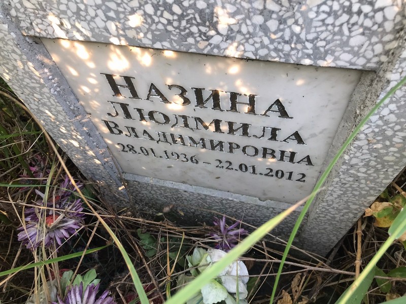 Назина