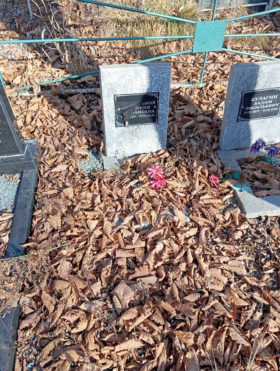 Доманецкая Евдокия Степановна