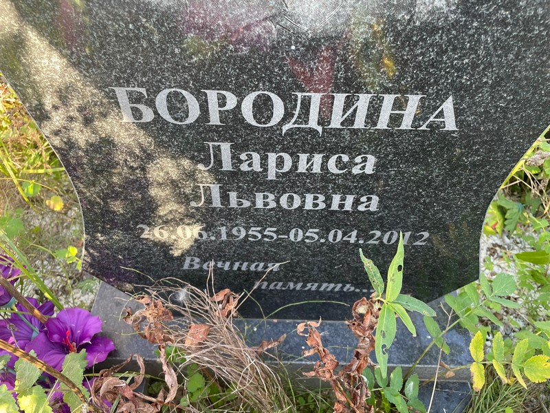 Бородина
