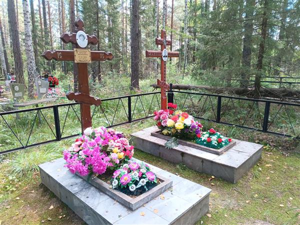 Курочкина Евгения