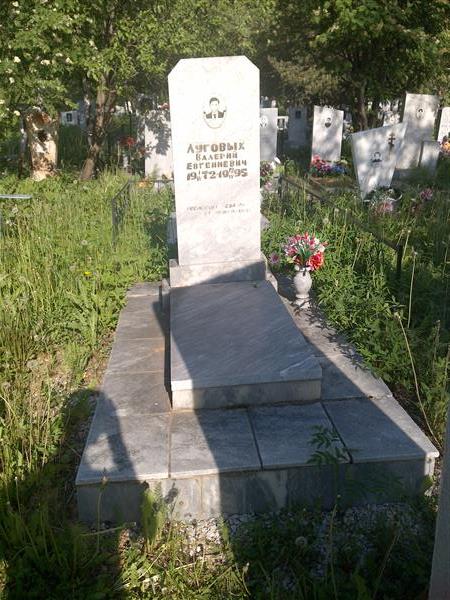 Луговых Валерий Евгеньевич