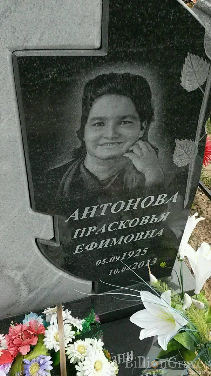 антонова прасковья ефимовна