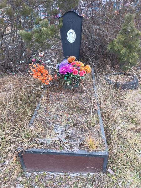 Воронов Владимир Александрович