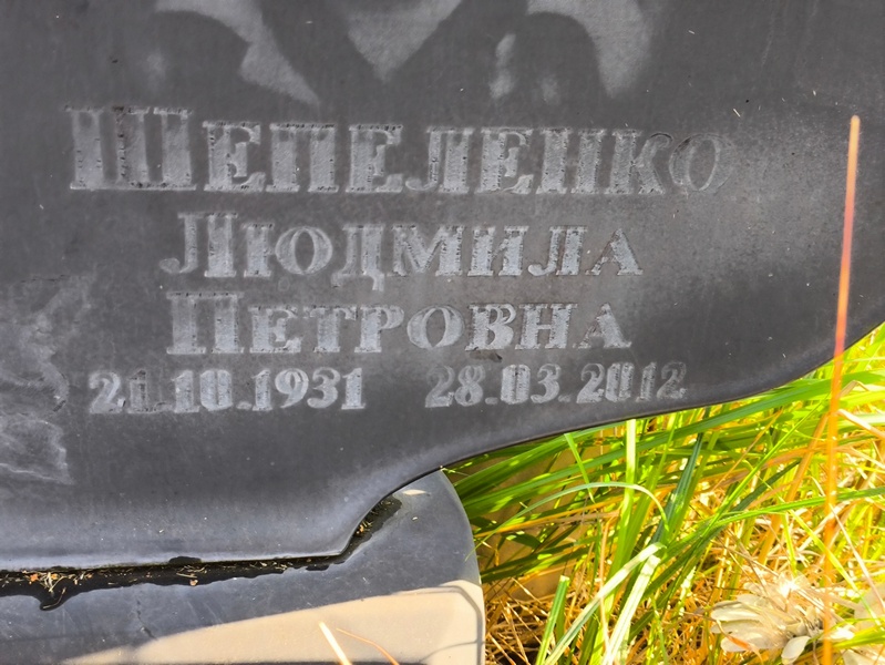 Шепеленко
