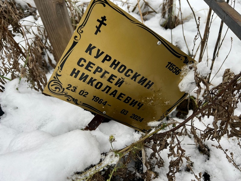 Курноскин