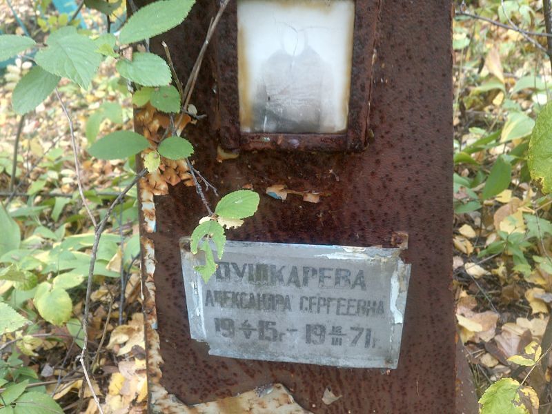 Пушкарева Александра Сергеевна