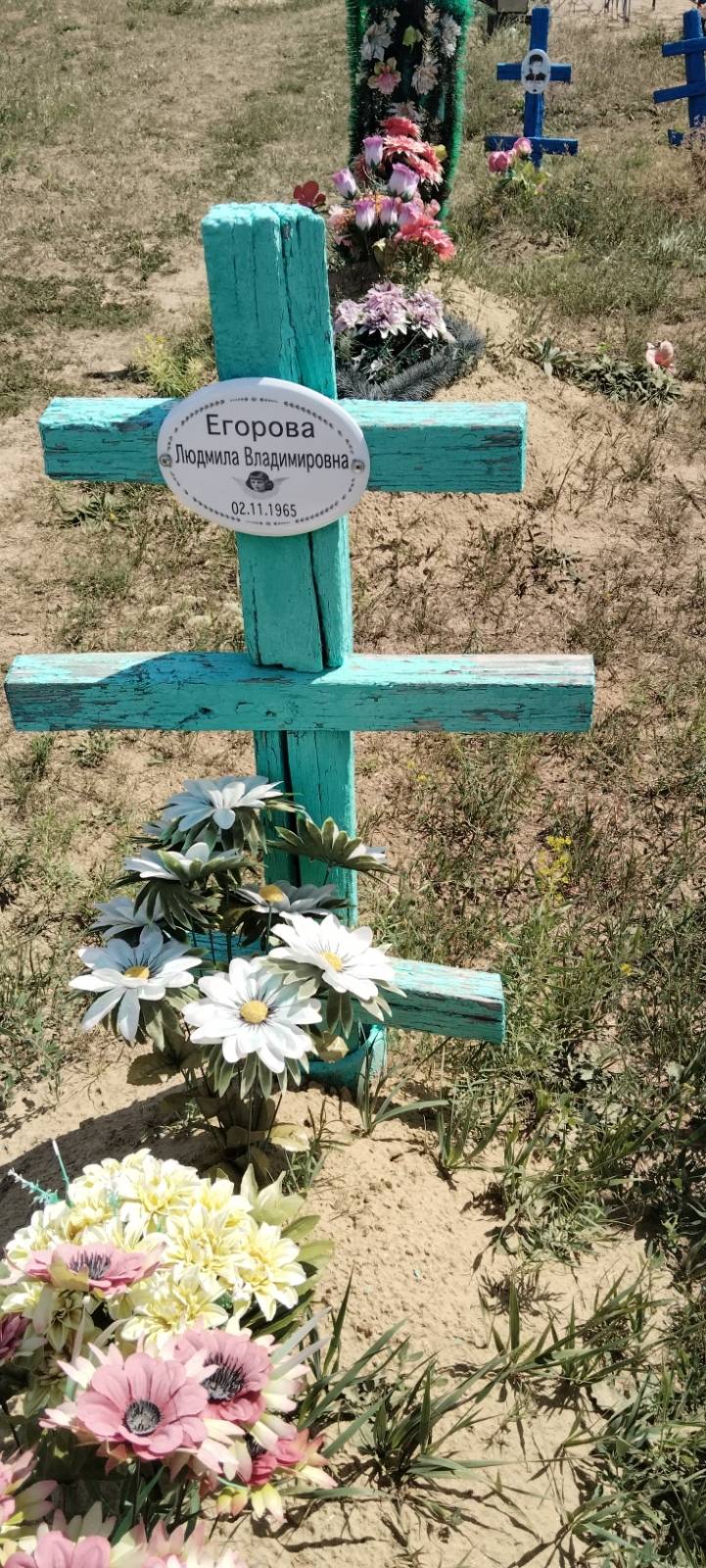 Егорова Людмила Владимировна