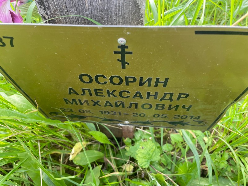 Осорин