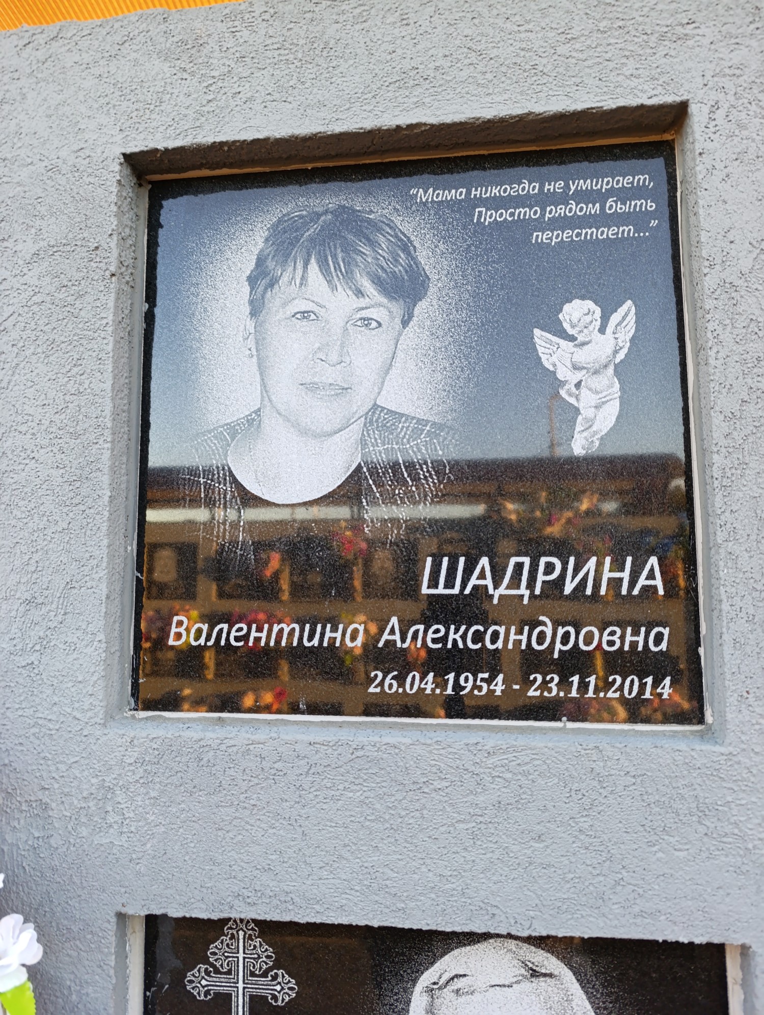 Шадрина Валентина Александровна