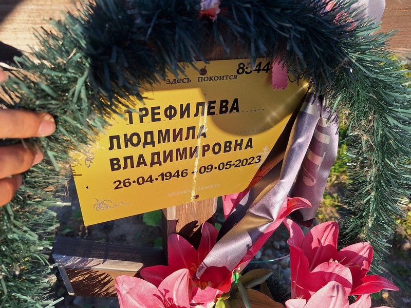 Трефилева