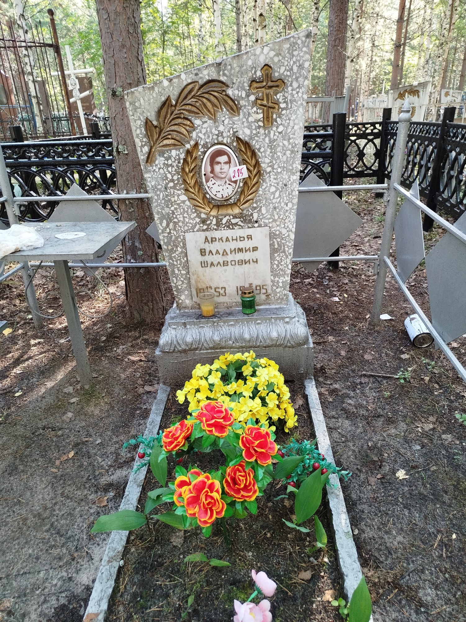 Арканья Владимир Шалвович