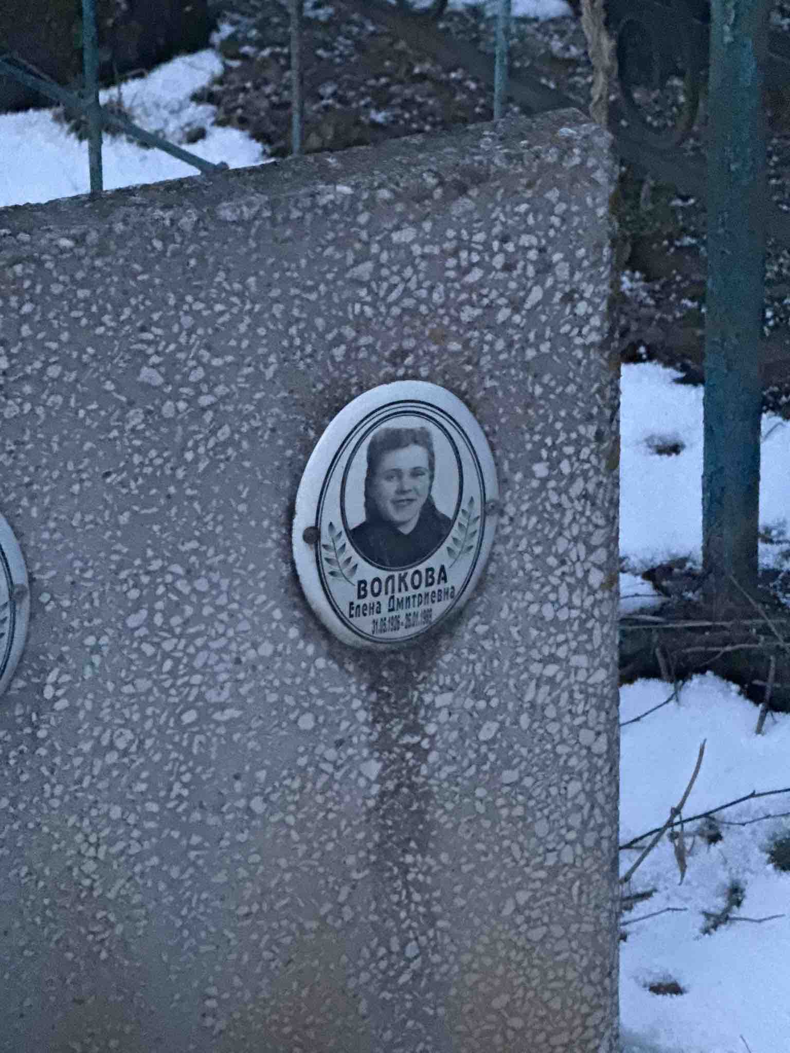 Волкова Елена Дмитриевна