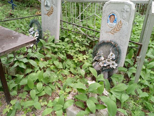Шаторный Александр Иванович