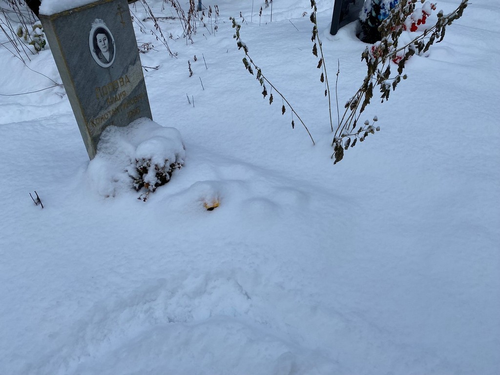 Попова Лидия Константиновна