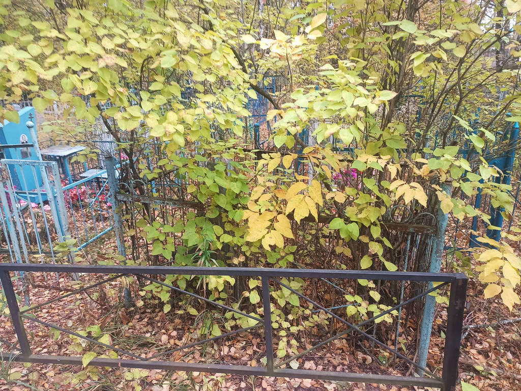 Клюнов Петр Степанович