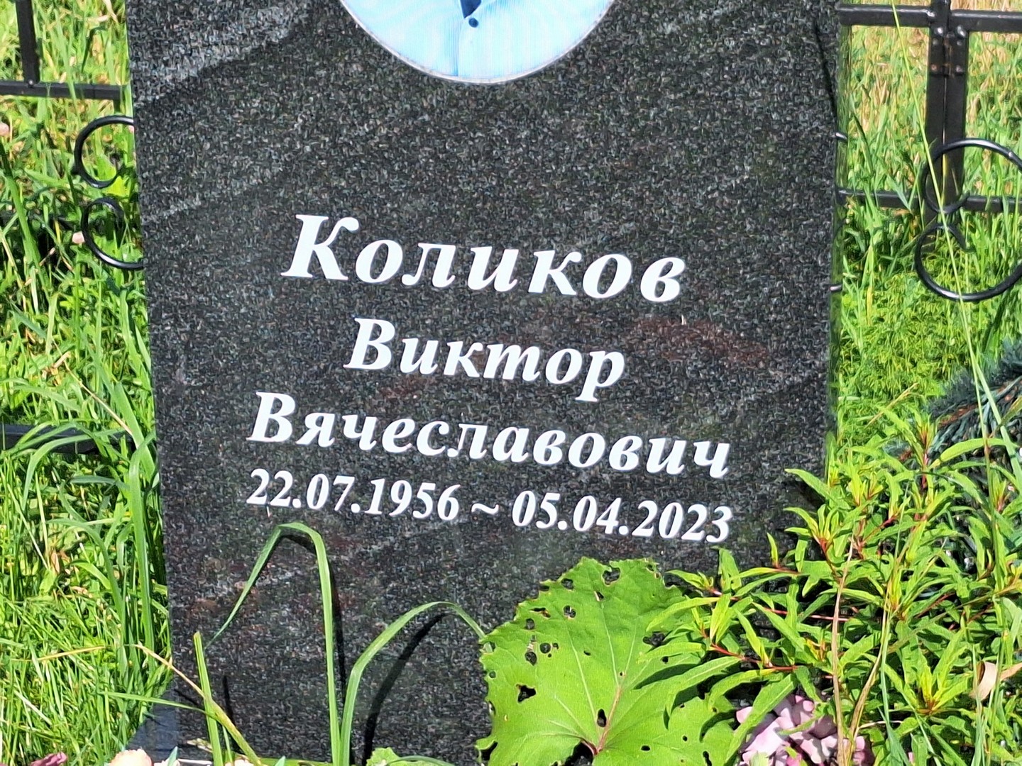 Коликов