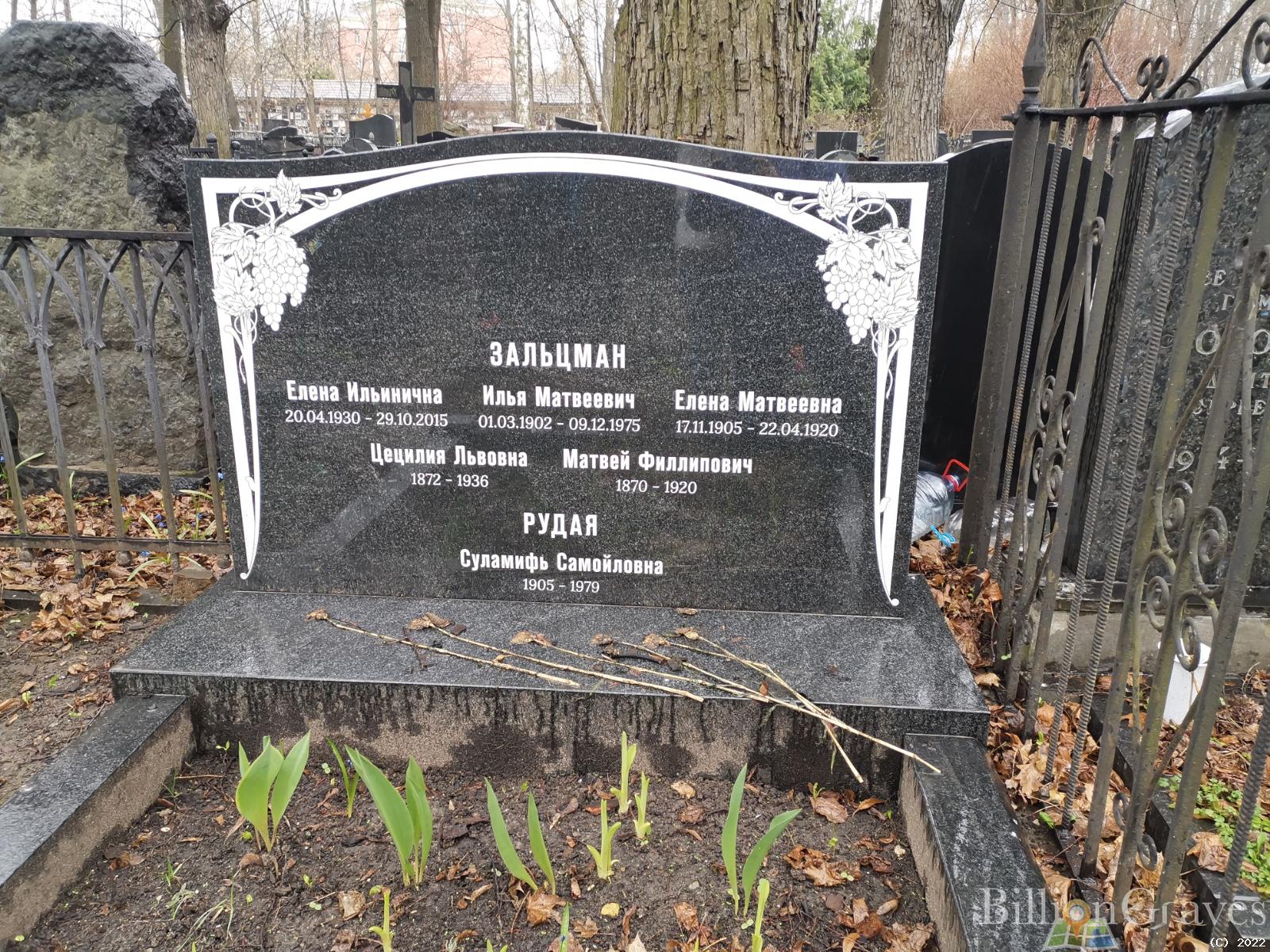Зальцман Елена Ильинична