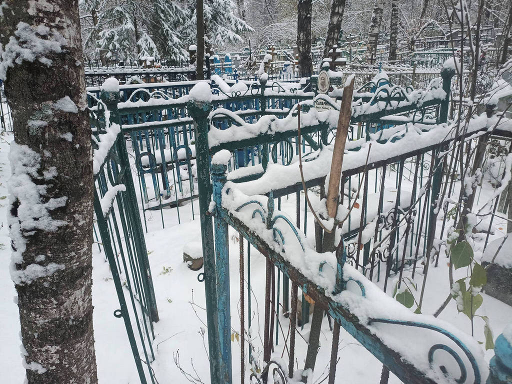 Сапарина Дарья Павловна