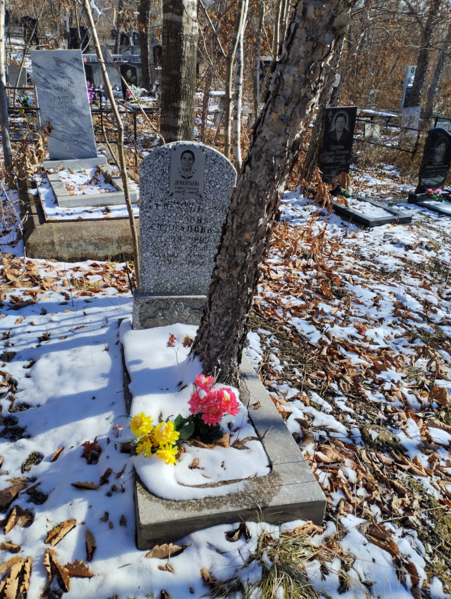 Дементьева Агафия Степановна
