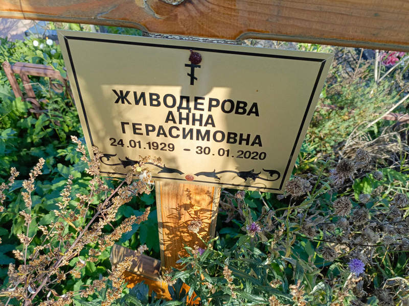 Живодерова
