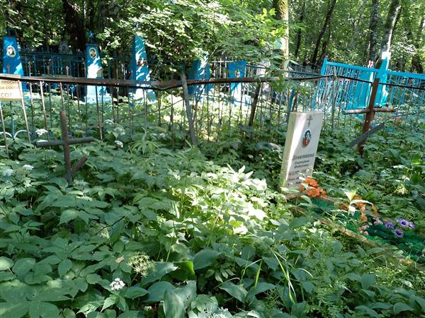 Девяткина Екатерина Федоровна