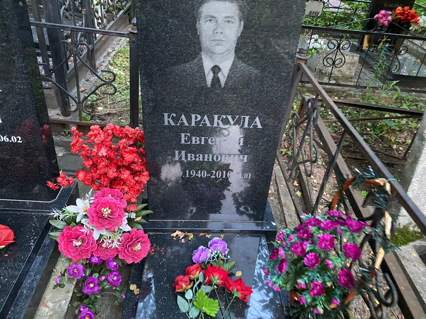 Каракула